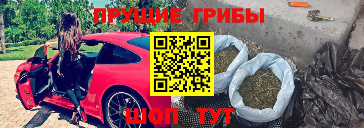 Галлюциногенные грибы прущие грибы Псков