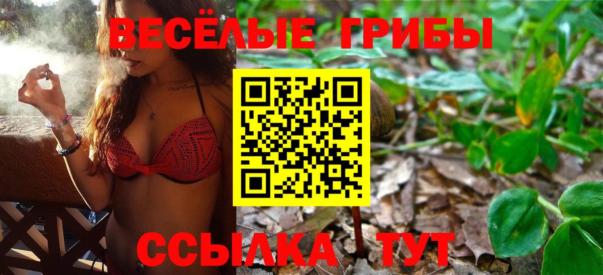 Псков  Псилоцибиновые грибы Psilocybine cubensis  магазин продажи   Вход с VPN  Псилоцибиновые грибы мухоморы 